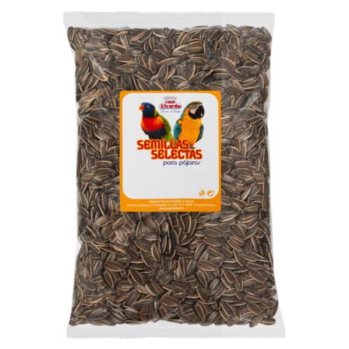 pipas girasol crudas. Envase 500gr.